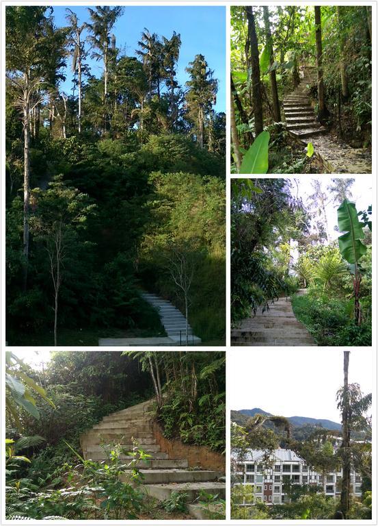Strawberry Homestay Cameron Highlands Eksteriør billede